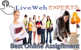 Best Online Assignment