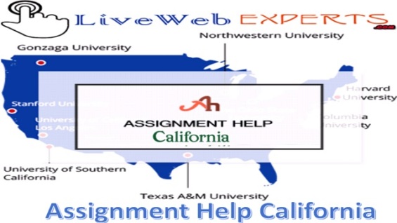 Assignment Help California.jpg